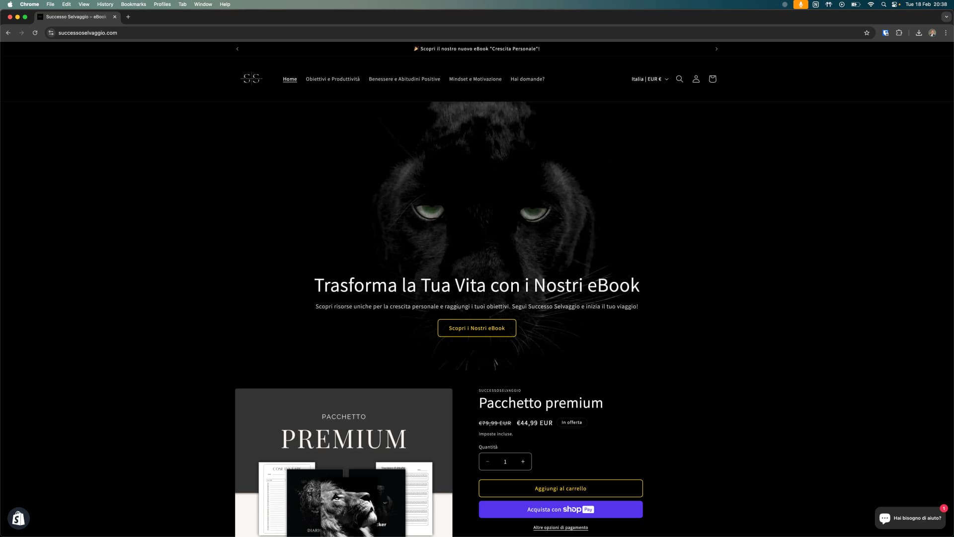 Successo Selvaggio: la piattaforma per vendere ebook su Shopify