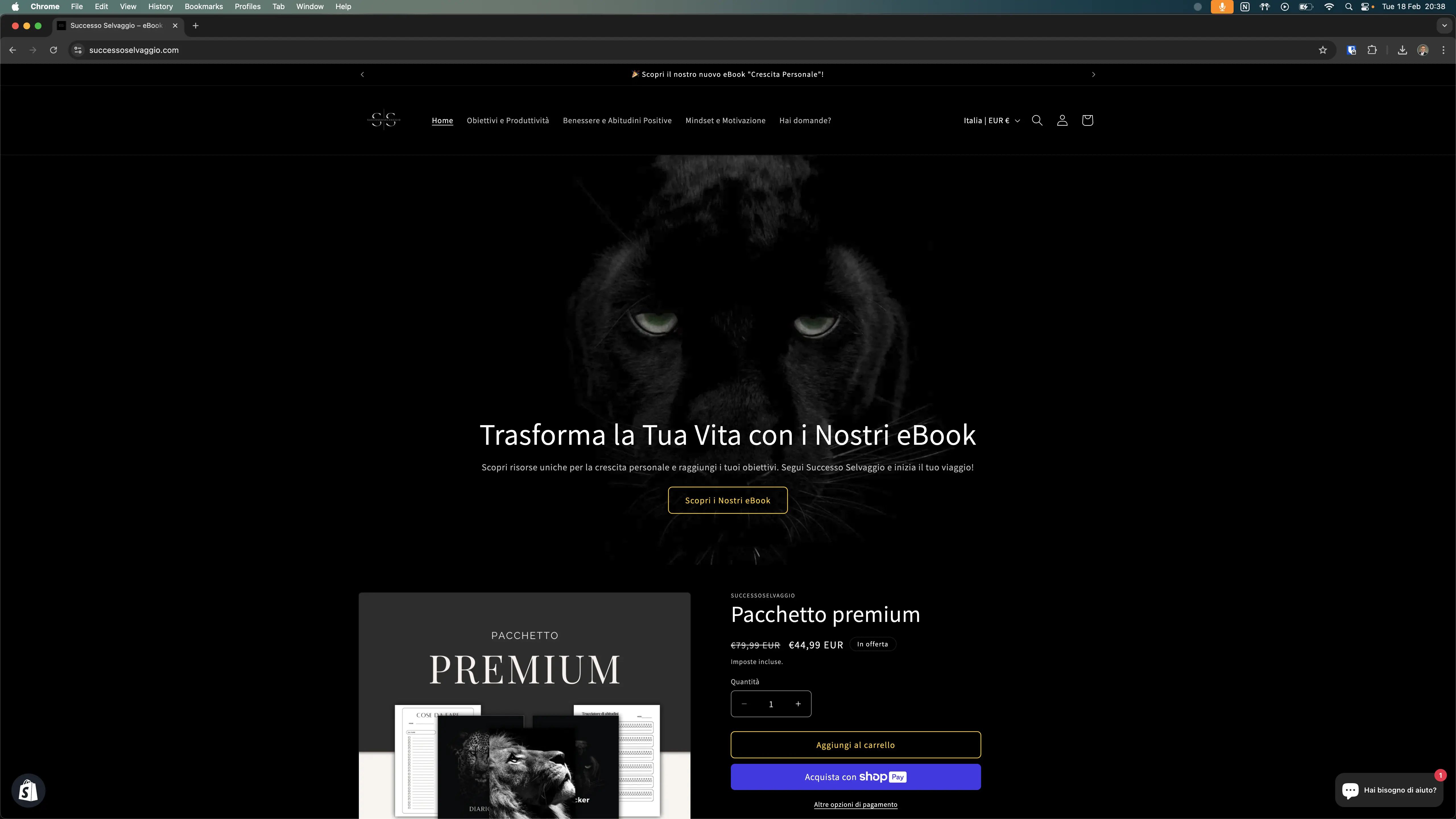 Successo Selvaggio: la piattaforma per vendere ebook su Shopify